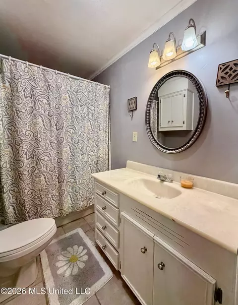 Bath - 215 Trace Cir, Raymond, MS 39154 photo 3 of 3