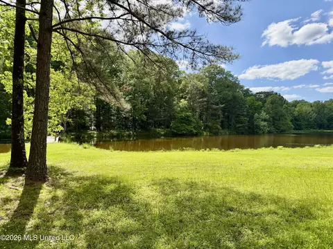 View/Area - 215 Trace Cir, Raymond, MS 39154 photo 2 of 7