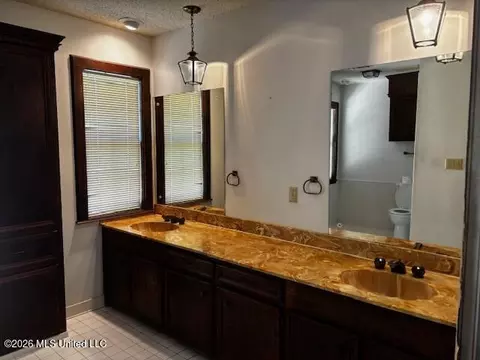 Bath - 182 Parks Rd, Jackson, MS 39212 photo 2 of 4
