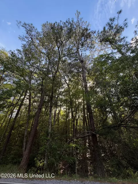 State Line Road, Moss Point, MS 39562 photo 3