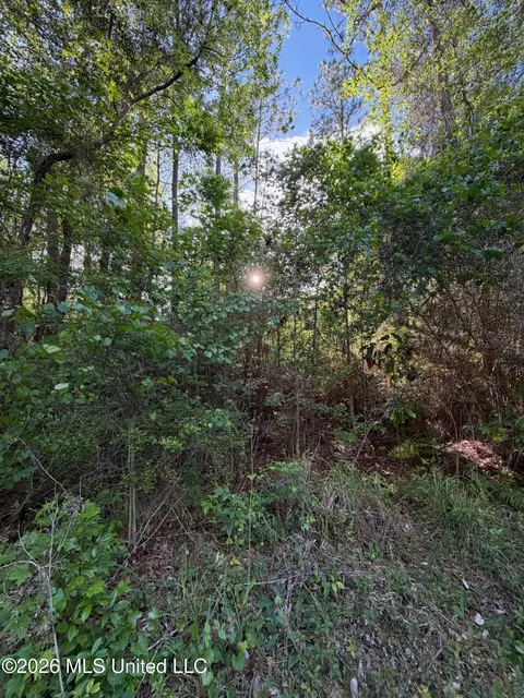 State Line Road, Moss Point, MS 39562 photo 4