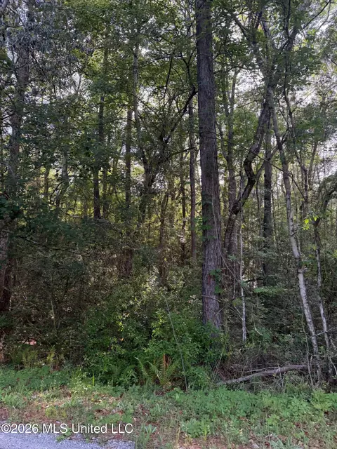 State Line Road, Moss Point, MS 39562 photo 6