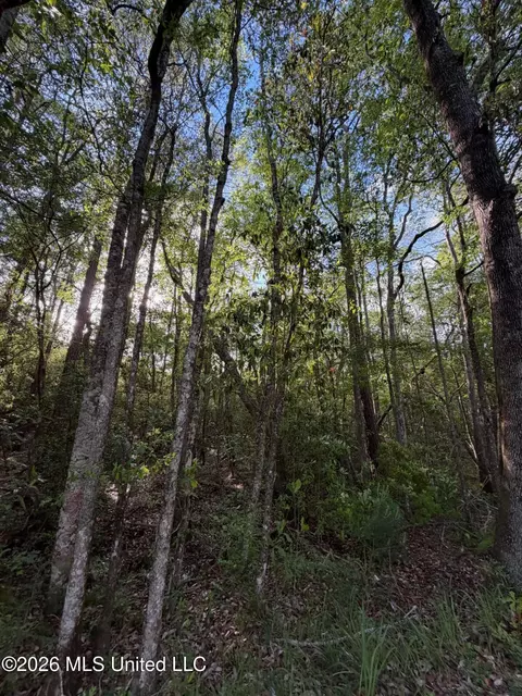 State Line Road, Moss Point, MS 39562 photo 5