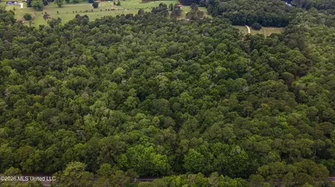 State Line Road, Moss Point, MS 39562 photo 11