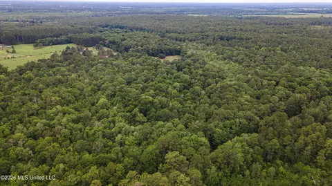 State Line Road, Moss Point, MS 39562 photo 7