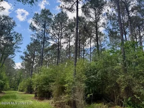 Magnolia Holmesville Road, Mccomb, MS 39648