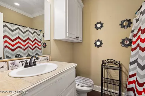 Bath - 301 Ridge Pointe Dr, Brandon, MS 39042 photo 2 of 2
