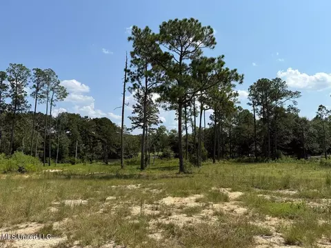 Cypress Place, Perkinston, MS 39573 photo 6