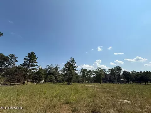 Cypress Place, Perkinston, MS 39573 photo 5