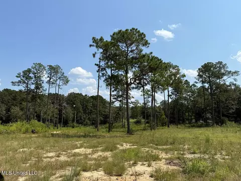 Cypress Place, Perkinston, MS 39573 photo 9