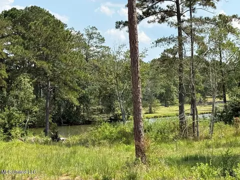 Cypress Place, Perkinston, MS 39573 photo 8