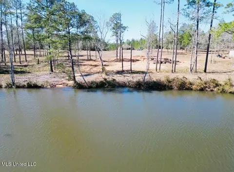 Cypress Place, Perkinston, MS 39573 photo 12