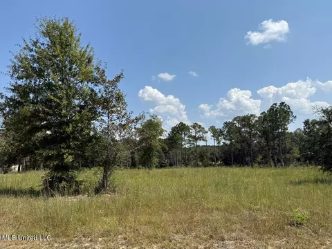 Cypress Place, Perkinston, MS 39573 photo 3