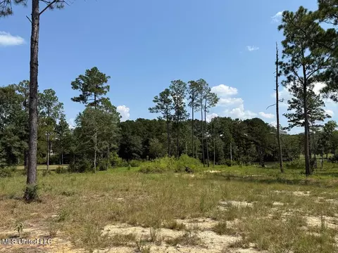 Cypress Place, Perkinston, MS 39573 photo 7