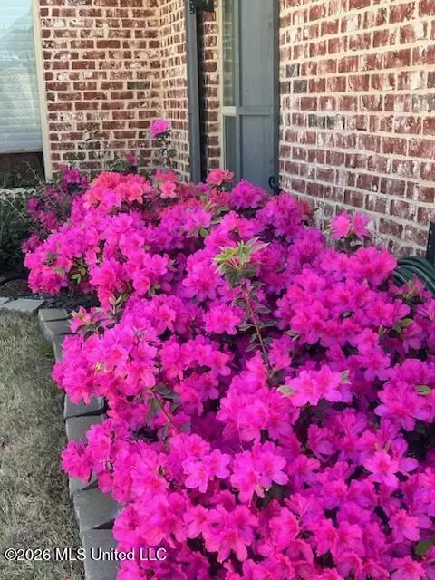 Other - 146 Herons Bay Cir, Madison, MS 39110 photo 18 of 19