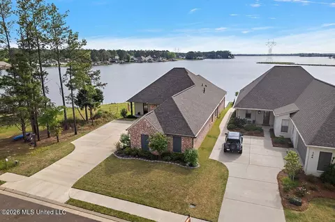 View/Area - 146 Herons Bay Cir, Madison, MS 39110 photo 11 of 11