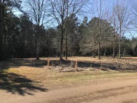 0 SE Skyward Ln, Brookhaven, MS 39601 photo 5
