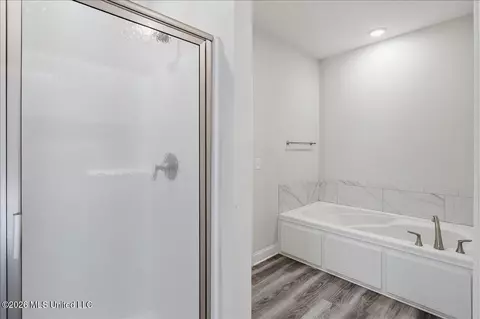 Bath - 815 Long Leaf Cir, Brandon, MS 39042 photo 2 of 4