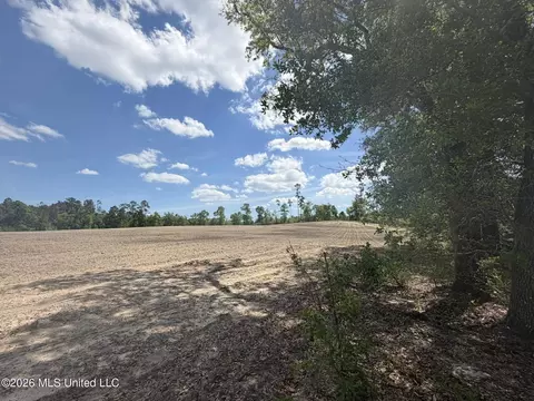 19 2 Ac Mcinnis Vernal Rd, Lucedale, MS 39452 photo 4
