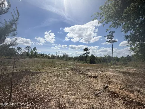 19 2 Ac Mcinnis Vernal Rd, Lucedale, MS 39452 photo 11