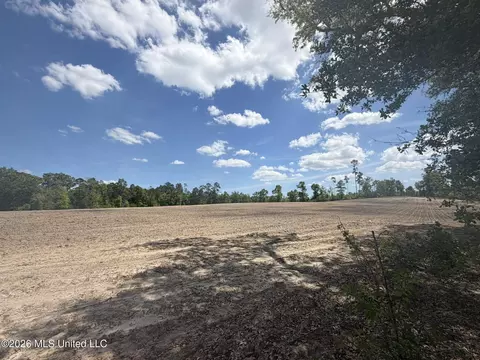 19 2 Ac Mcinnis Vernal Rd, Lucedale, MS 39452 photo 3