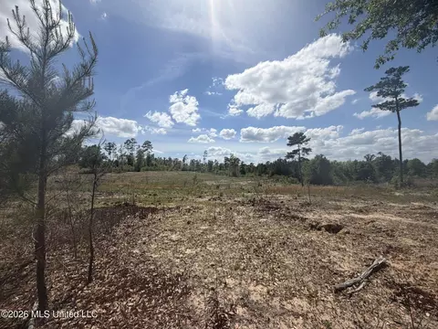 19 2 Ac Mcinnis Vernal Rd, Lucedale, MS 39452 photo 12