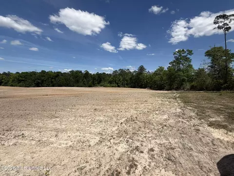 19 2 Ac Mcinnis Vernal Rd, Lucedale, MS 39452 photo 25