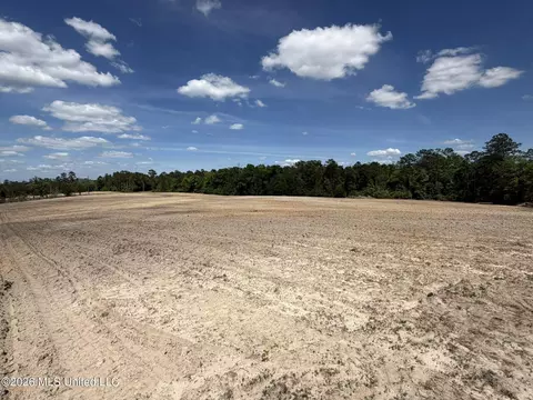 19 2 Ac Mcinnis Vernal Rd, Lucedale, MS 39452 photo 26