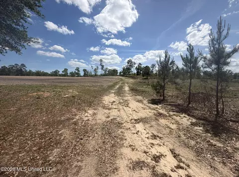 19 2 Ac Mcinnis Vernal Rd, Lucedale, MS 39452 photo 10
