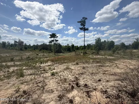19 2 Ac Mcinnis Vernal Rd, Lucedale, MS 39452 photo 13