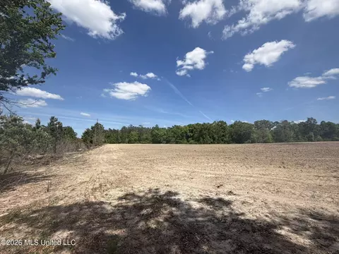 19 2 Ac Mcinnis Vernal Rd, Lucedale, MS 39452 photo 7