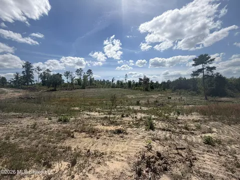 19 2 Ac Mcinnis Vernal Rd, Lucedale, MS 39452 photo 14