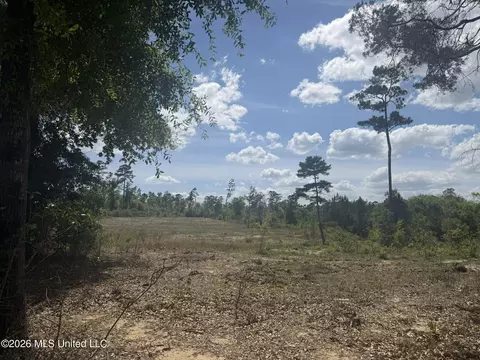 19 2 Ac Mcinnis Vernal Rd, Lucedale, MS 39452 photo 21