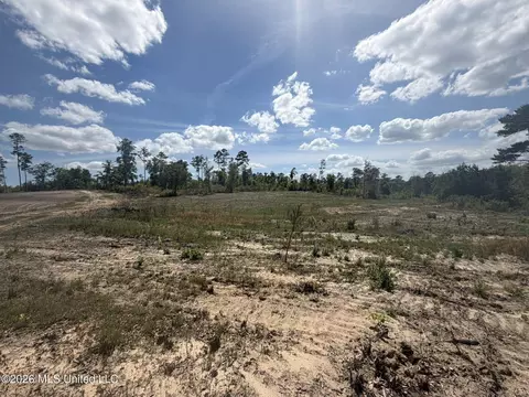 19 2 Ac Mcinnis Vernal Rd, Lucedale, MS 39452 photo 15