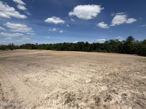 19 2 Ac Mcinnis Vernal Rd, Lucedale, MS 39452 photo 23