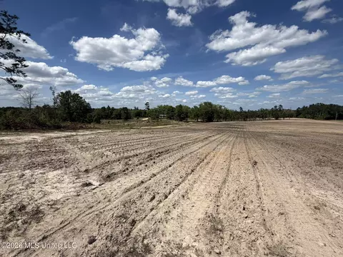 19 2 Ac Mcinnis Vernal Rd, Lucedale, MS 39452 photo 28