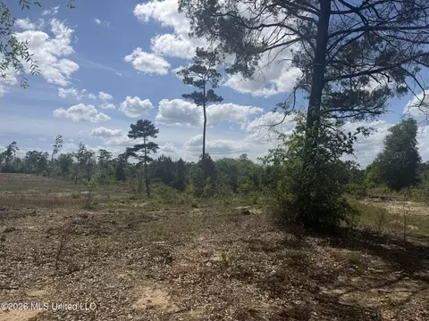 19 2 Ac Mcinnis Vernal Rd, Lucedale, MS 39452 photo 19