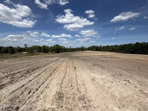 19 2 Ac Mcinnis Vernal Rd, Lucedale, MS 39452 photo 27
