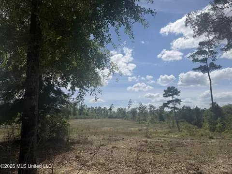 19 2 Ac Mcinnis Vernal Rd, Lucedale, MS 39452 photo 22