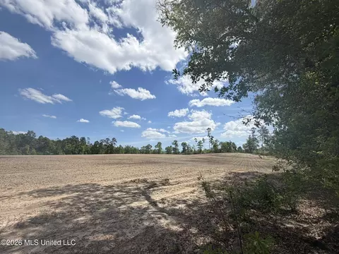 19 2 Ac Mcinnis Vernal Rd, Lucedale, MS 39452 photo 9
