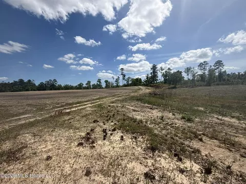 19 2 Ac Mcinnis Vernal Rd, Lucedale, MS 39452 photo 17