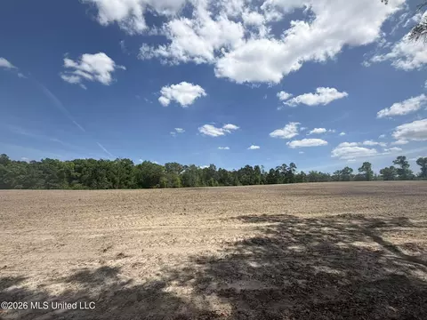 19 2 Ac Mcinnis Vernal Rd, Lucedale, MS 39452 photo 6