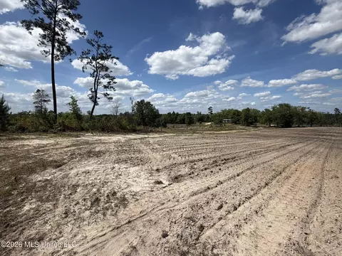 19 2 Ac Mcinnis Vernal Rd, Lucedale, MS 39452 photo 29