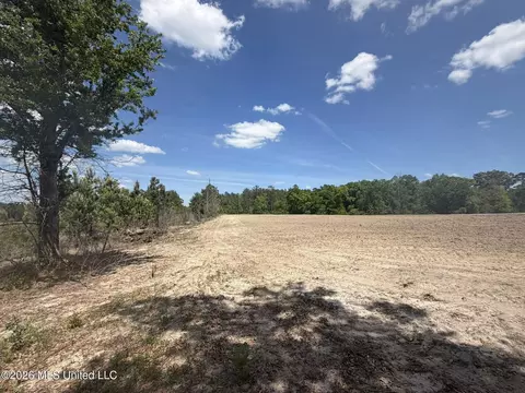 19 2 Ac Mcinnis Vernal Rd, Lucedale, MS 39452 photo 8