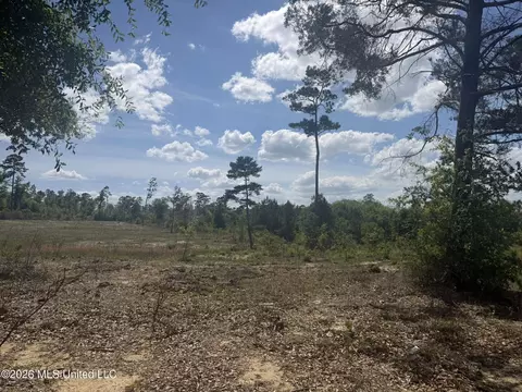 19 2 Ac Mcinnis Vernal Rd, Lucedale, MS 39452 photo 20
