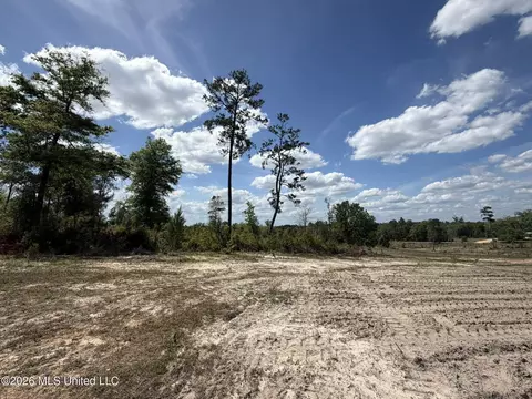 19 2 Ac Mcinnis Vernal Rd, Lucedale, MS 39452 photo 30