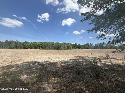 19 2 Ac Mcinnis Vernal Rd, Lucedale, MS 39452 photo 2