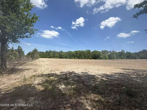 19 2 Ac Mcinnis Vernal Rd, Lucedale, MS 39452