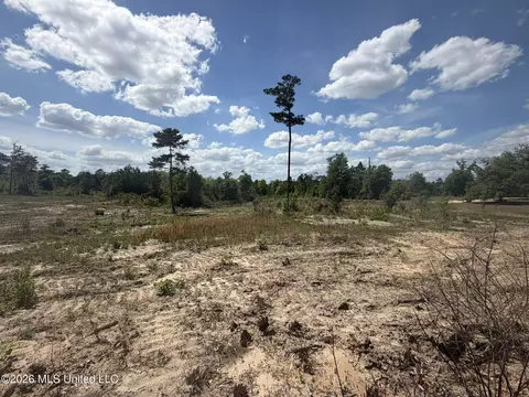 19 2 Ac Mcinnis Vernal Rd, Lucedale, MS 39452 photo 18