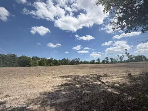 19 2 Ac Mcinnis Vernal Rd, Lucedale, MS 39452 photo 5